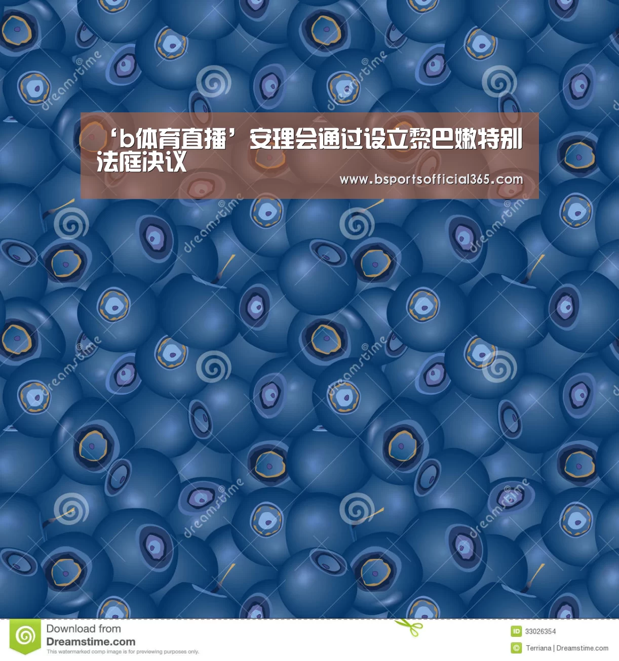 ‘b体育直播’安理会通过设立黎巴嫩特别法庭决议(图3) b体育官网